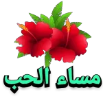 مساء جميل