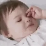 artist