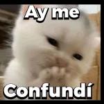 BAÑO! BAÑO! BAÑO! BAÑO!