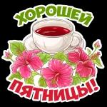 Надежда Игитова