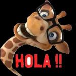                              👌🏻 De todo un poco! #➋TOP STICKERS