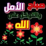 صباح الخير
بنا ططو