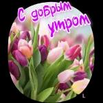  с добрым утром