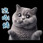 起肖貓貓★台語卡唬爛!
