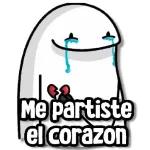 Me partiste el corazon