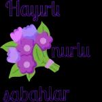 aynur