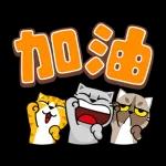 貓爪抓 -名人堂‧實在好抓-