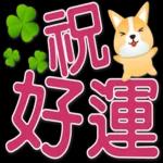 可愛柯基 大字超實用日常生活用語