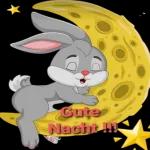 Gute Nacht und schlaf schön! 😴