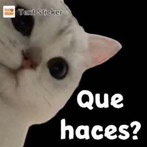 Que haces? - getsticker.com