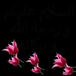 كل عام وأنتم بخير