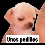 MI PAQUETE 50