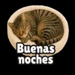 Que tengas una buena noche.
