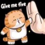 屈服的！！！ 我不会！！！