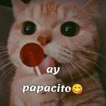 Te extrano y ya quiero verte @rose.stickers1 091BU