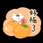 美吉熊&爆爆熊-吉龍來