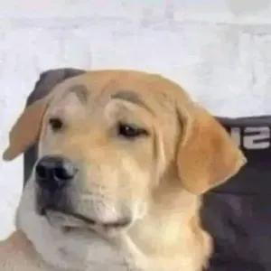 YuxDGH