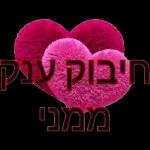 חג פסח שמח 🩷