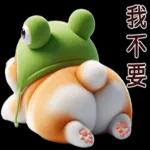 柯基蛙好可愛！