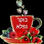 דני