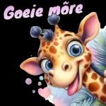 BOEE MORE!
Hierdie ou hartjie
van my loop oor
van liefde, nou wil
ek dit nie mors nie,
wil dit liewers uitdeel,
daarom stuur ek vir
jou daarvan. Deel dit
vinnig uit hoor want
dit vermenigvuldig
ongelooflik baie.
Jy moet gou maak...
deel uit, deel uit!
hart!
Mooi daggie met liefde opreg uit
my