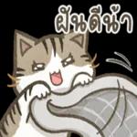 มานี่ๆๆๆเลย