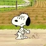 Snoopy 