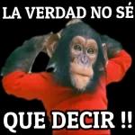 SI AMOR LO QUE TÚ DIGAS