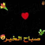 کاشانه