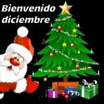 Super fantástico 123RF 