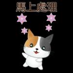 實用大貼圖 職場日常 可愛花貓