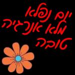 הורדה חינם, עדכונים מדי יום