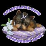 с добрым утром 🌞😘🌞