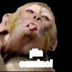 memes
