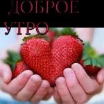 тоио