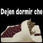 tengo