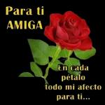 Stickers de flores