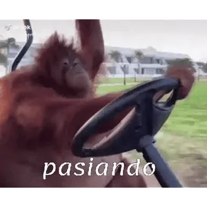 3zKjoS