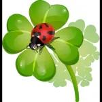 Ich
grüße
Dich
und wünsche Dir
einen schönen Tag