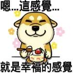 你在哪？我迷路了...