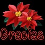 gracias!!