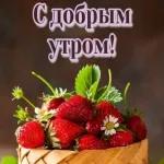 ватсап