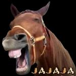 arbiels MyLife VEN Y CÓG3ME 