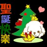 白貴賓犬表情包