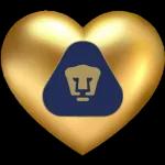 super Mario bros y los pumas