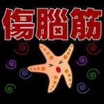 可愛海星 2