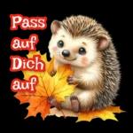 Ich wünsche dir einen schönen Tag