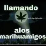 Elkin Osorio Diez Esa mariguana lo tiene delirando,. Da es pesar como le cogió ventaja el vicio 38 min Me gusta Responder 