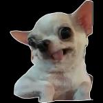@ballolet88 Aqui toi pa' ti bebé