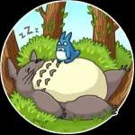 Totoro
                            Darya Ogneva